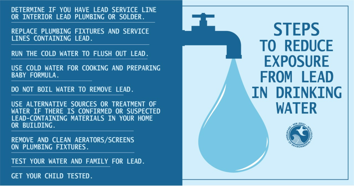 Steps to Reduce Lead Flyer