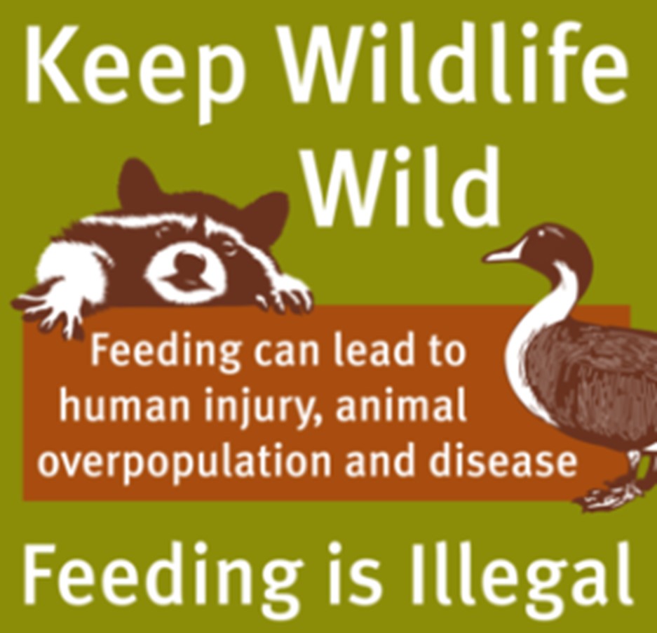 Keep Wildlife wild campaign sign