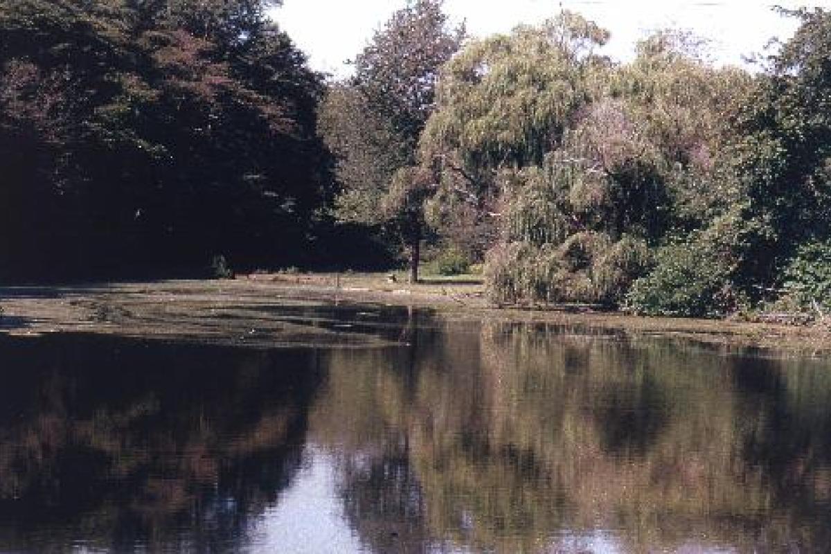 Manasquan River Golf Club Pond @ 18th Tee