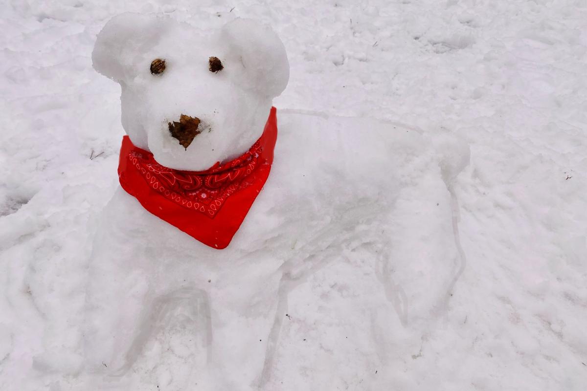 dog snow sculpture