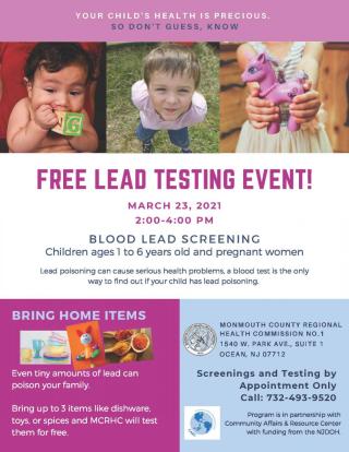 Flyer for Lead Testing